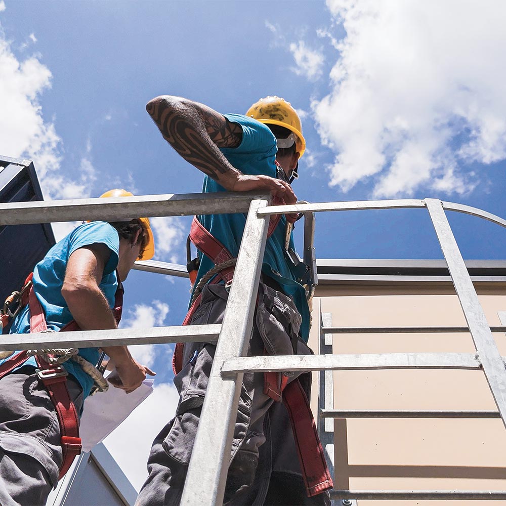 Sopralluogo più rendering per aziende